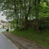 PLÁNSKÉ LESY s.r.o.