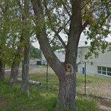 NOVOHRADSKÝ BOHUMIL-STAVITEL TACHOV