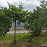 CORPORATE TRADE s.r.o.