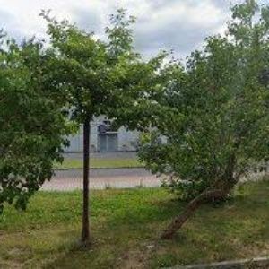 obrazek: avatar CORPORATE TRADE s.r.o.