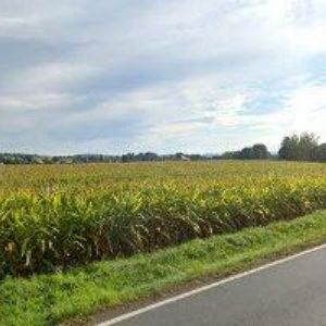 obrazek: avatar YMA24.EU