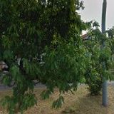 WALTER JAN-AUTODÍLY-VRAKOVÁNÍ