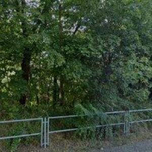 obrazek: avatar AUTOSERVIS PACHMAN