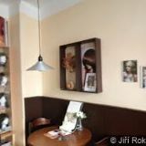 KŮŇ RESTAURACE