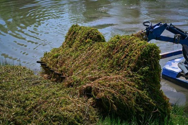 Karviná čistí jezero u Lodiček: rdest odstraňuje sací bagr