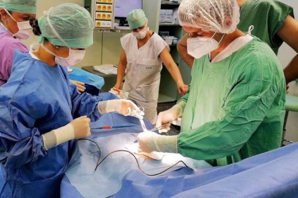 Nemocnice na Vysočině lákají mediky kempovými nabídkami a kariérními možnostmi