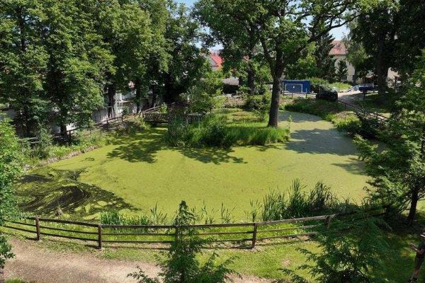 Nové Syrovice obnovují zámecké tůně. Projekt zlepší vodu i podmínky pro obojživelníky