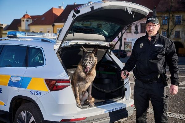 Slaný rozšiřuje kamerový dohled. Městská policie pořídí mobilní kamery a obnovuje psovody