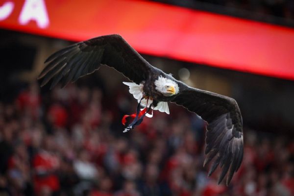 Benfica míří do Plzně! Viktoria spouští prodej balíčků na čtyři evropské bitvy