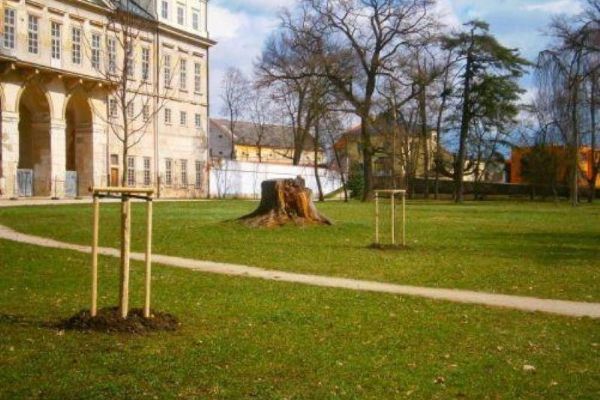 Kosmonosy dokončují obnovu zámeckého parku: přibyla grotta, vodopád i objevené pivovarské sklepy