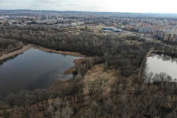 Obnova Vávrovských rybníků přinese více přírody i nové stezky