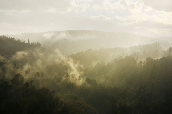 Plzeňský kraj čekají přeháňky i ochlazení. Déšť může znovu nastartovat růst hub