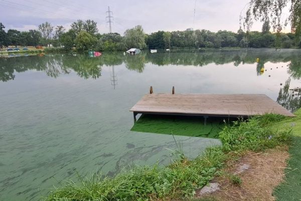 V Praze platí zákaz koupání na Džbánu. Orientační test s PET lahví odhalí sinice během 20 minut