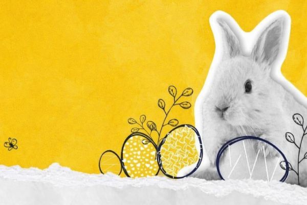 Velikonoční EGGSperimenty v Techmanii slibují zábavu pro malé i velké