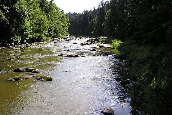 Vodácká sezóna na Sázavě: Nízká hladina, stále oblíbená!