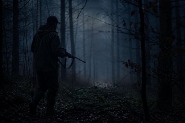 Myslivec na Tachovsku mířil na lišku, postřelil hledače kovů. Teď je obviněný