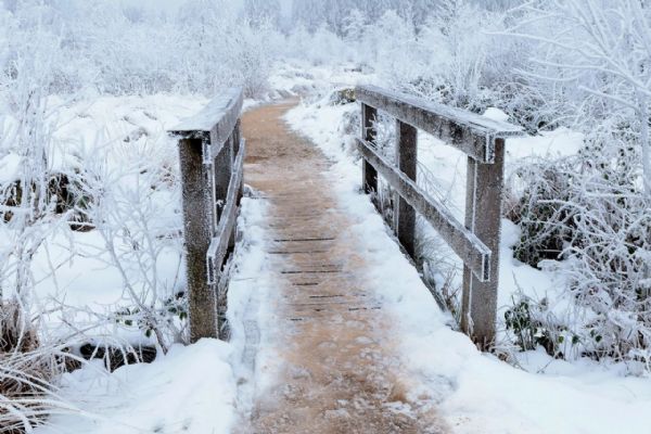 Na Šumavě trvají extrémní mrazy až -30 °C, horská služba varuje turisty