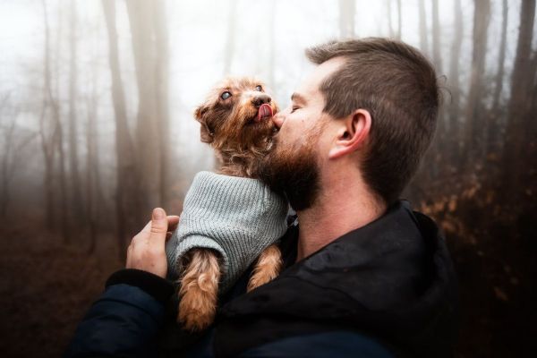Nevidomý Brex hledá nový domov po zásahu ve Starém Sedlišti