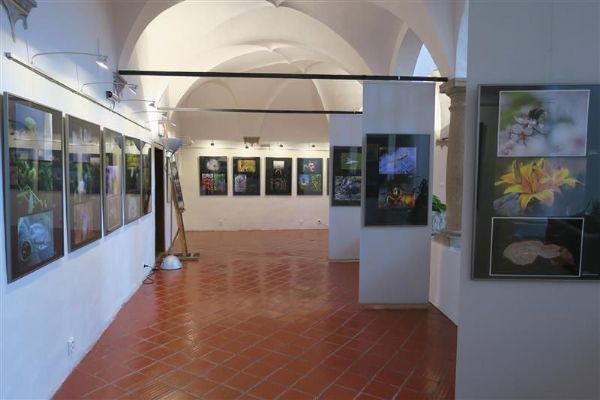 Makrofotografie zaplnily muzejní arkády v Muzeum Vysočiny Jihlava