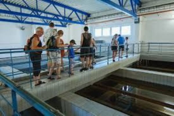 Prohlídky úpravny vody na Homolce ukážou, jak se v Plzni vyrábí pitná voda