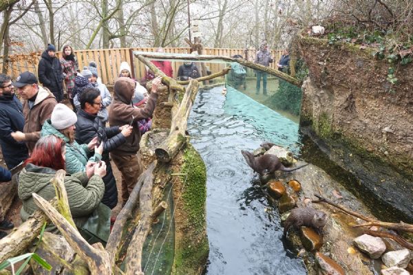 Vydří sourozenci jsou Matylda a Klotylda - hvězdy plzeňské expozice