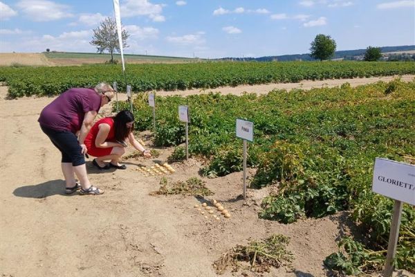 Havlíčkova Borová představila 201 odrůd brambor. Seminář řešil ceny, sucho i nové technologie
