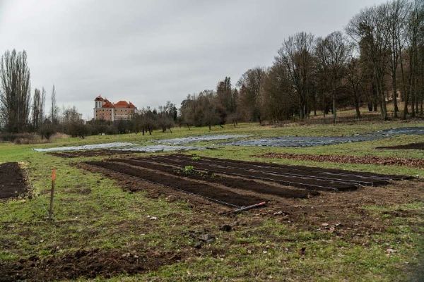 Hlasování o ekologických projektech: vítěz E.ON Energy Globe získá 500?000?Kč