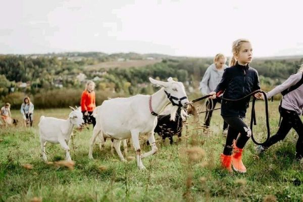 Kozí spolek v Třebíči plánuje stěhování, rozvíjí programy pro děti i veřejnost
