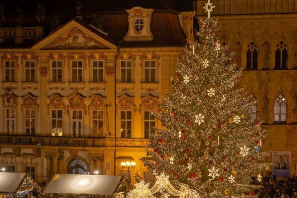 Praha hledá vánoční strom pro Staroměstské náměstí. Tipy mohou lidé posílat do 15. září