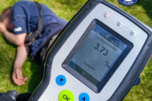 Válel se u Mlýnské strouhy s téměř čtyřmi promile. Tvrdil, že ho někdo kopl do hlavy