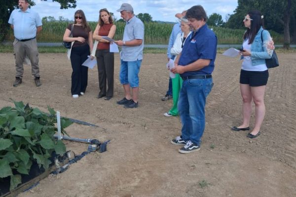 Ve Valečově testují agrovoltaiku u brambor a sóji, první výsledky ukazují hlavně vliv závlah