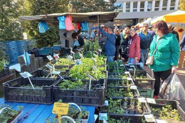 Zahrada v Havlíčkově Brodě startuje v pátek: desítky stánků i novinky pro zahrádkáře