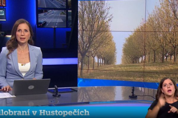 V Hustopečích poprvé sklízeli mandle přímo s návštěvníky. Mandlobraní nabídlo i neobvyklé ukázky