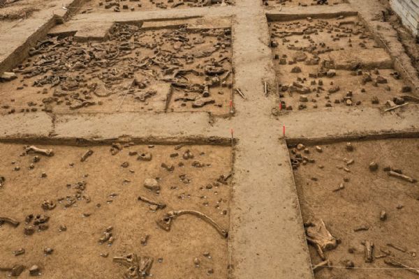 Nález 19 mamutů v Ústí nad Labem: evropský archeologický unikát