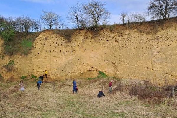 Nová pozorovatelna v ptačím parku: Užijte si sledování ohrožených ptáků