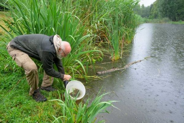 Pražská zoo navrací ohrožené karasy do přírody: vypuštěno 250 ryb u Michelského lesa