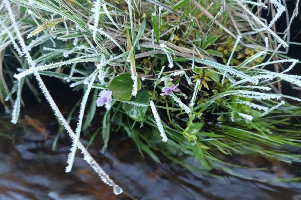 Šumavu sevřel ranní mráz. Na Kvildě klesla teplota pod minus deset stupňů