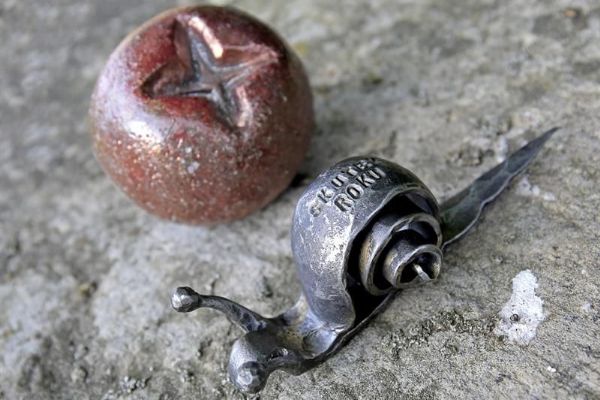 Vysočina spustila březnové hlasování v anketách Zlatá jeřabina a Skutek roku