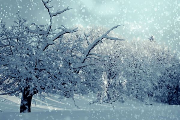 Na Šumavě může napadnout až 25cm sněhu