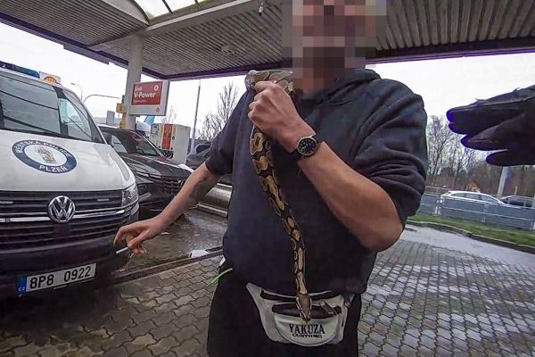 Opilec s krajtou obviněn z loupeže a výtržnictví