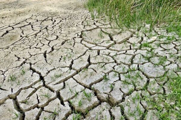 Plzeňský kraj vyrobil o třetinu méně pitné vody. Podzemní zdroje spadly na polovinu