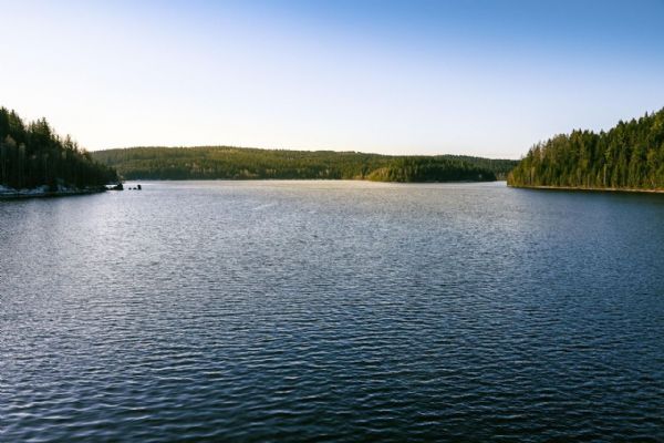 Policie přistihla 31 cizinců, řešila přestupky u Hracholusek