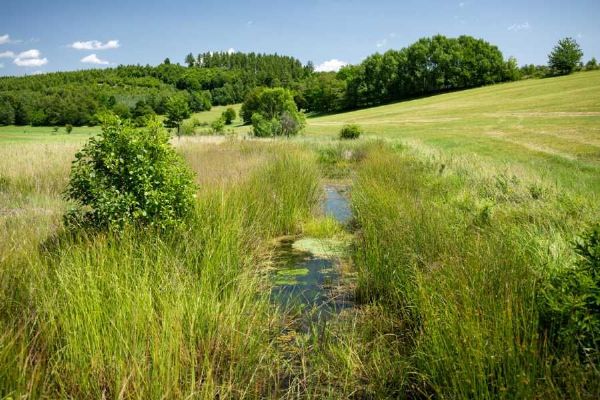 Revitalizace řek v Moravskoslezsku: Návrat k přírodě brzdí majitelé pozemků