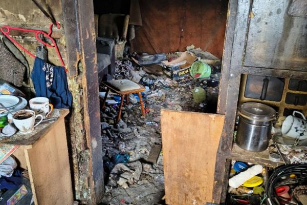 Štěňata z hororu ve Starém Sedlišti hledají nový domov