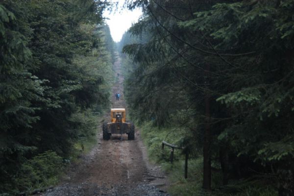 Stezka u Černého jezera je kvůli kůrovci uzavřená až do konce března