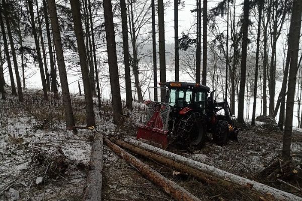 Tragédie u Horažďovic, muž zemřel při kácení stromu
