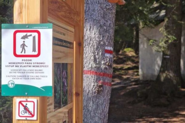 U Černého jezera na Šumavě dočasně uzavřou část stezky kvůli kůrovci