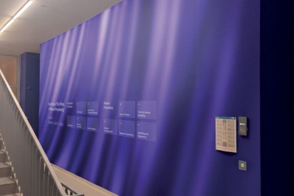 Digitální stěny? Na ZČU je to realita, Sutnarka s FAV spolupracují na unikátním projektu