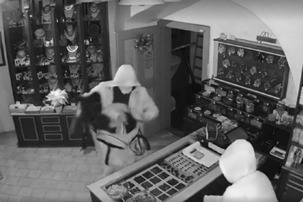 Vltavíny za 1,4 milionu: dva pachatelé ve vazbě