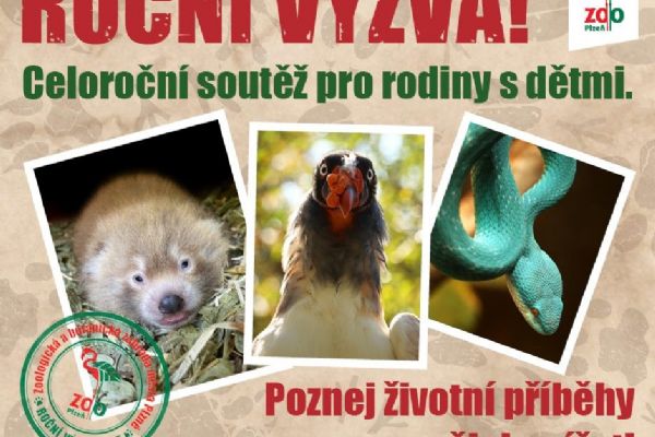 Zoo Plzeň láká rodiny na unikátní safari výzvu - poznej zvíře, získej odměnu